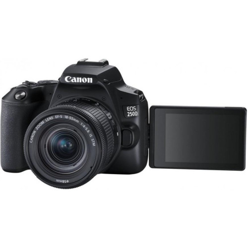 Зеркальный фотоаппарат Canon EOS 250D kit (18-55mm) EF-S IS STM (3454C007)