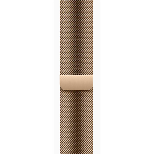 Смарт-часы Apple Watch Series 10 GPS + Cellular 46mm Gold Titanium Case w. Gold Milanese Loop - M/L (MX003)