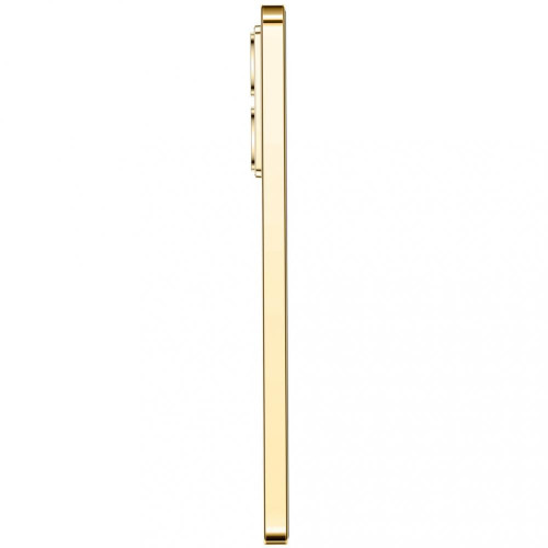 Смартфон Infinix Note 40 8/256GB Titan Gold (4894947019197)