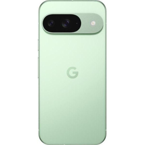Смартфон Google Pixel 9 12/256GB Wintergreen