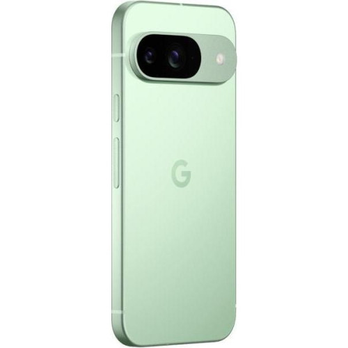 Смартфон Google Pixel 9 12/256GB Wintergreen
