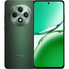 OPPO Reno12 FS 5G 12/512GB Black Green