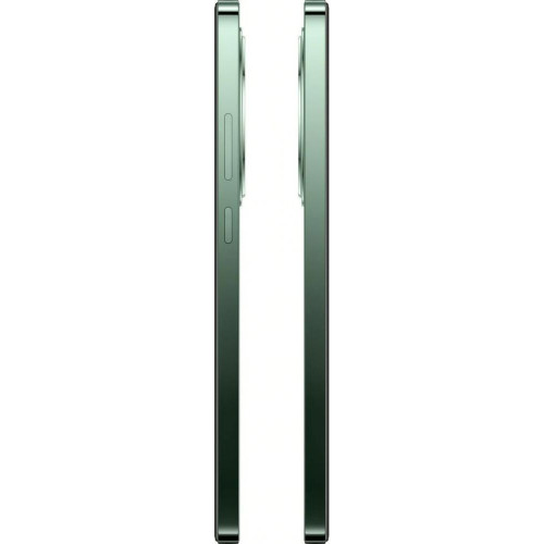 Смартфон OPPO Reno12 FS 5G 12/512GB Black Green