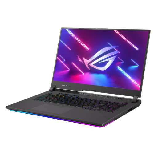 Ноутбук Asus ROG Strix G17 G713QR (G713QR-ES98Q) CUSTOM