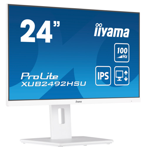 iiyama ProLite XUB2492HSU-W6