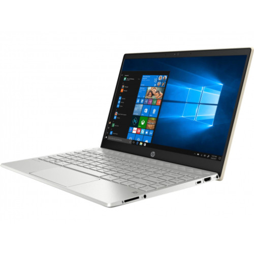 HP Pavilion 13 i5-8265U/8GB/480/Win10 IPS Gold(5MM07EA)