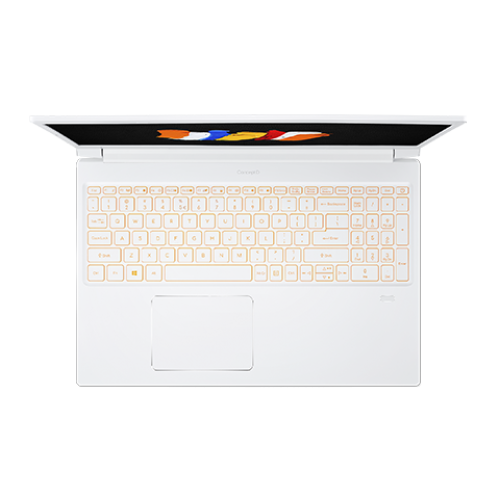 Ноутбук Acer ConceptD 3 Pro CN315-71P-58N0 (NX.C58AA.002)