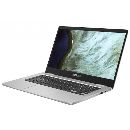 Ноутбук Asus Chromebook C423NA (C423NA-WB04)
