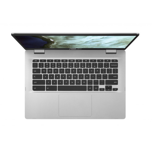 Ноутбук Asus Chromebook C423NA (C423NA-WB04)