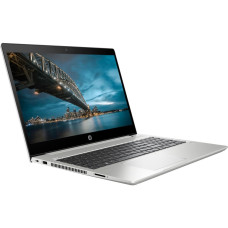 Ноутбук HP ProBook 450 G7 Pike Silver (6YY23AV_V10)