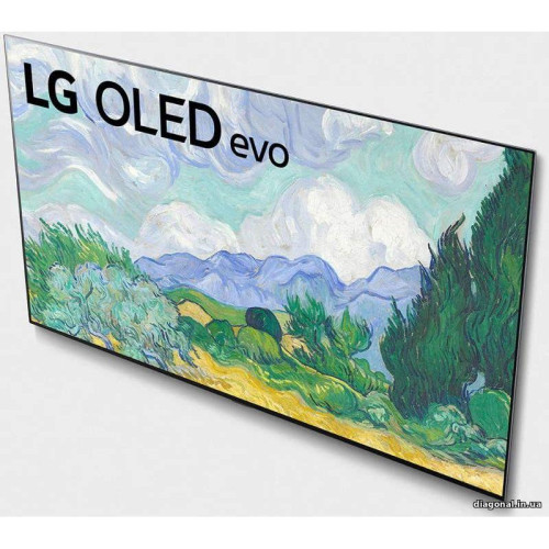 LG OLED55G1