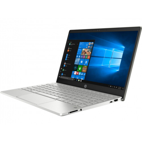 HP Pavilion 13 i5-8265U/8GB/256PCIe/Win10 IPS(5CT91EA)