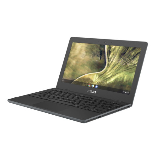 Asus Chromebook C204MA (C204MA-GJ0314)