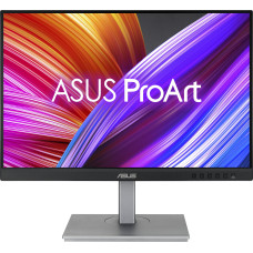 Asus ProArt PA248CNV (90LM05K1-B03370)