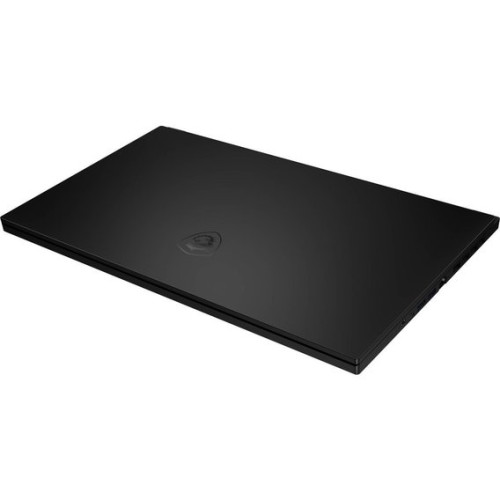 MSI GS66 Stealth 10UG (GS6610UG-219US)