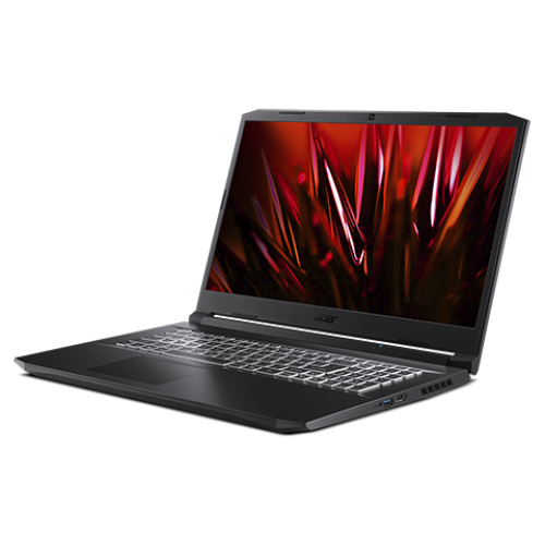 Ноутбук Acer Nitro 5 AN517-41-R494 (NH.QAREX.00C)