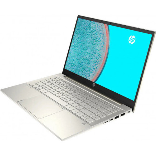 HP Pavilion 14-dv0082ur (4Z2N6EA)