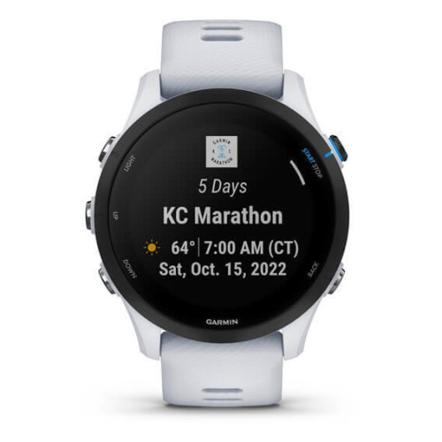 Garmin Forerunner 255 Music Whitestone (010-02641-21/31)