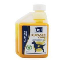Kurasyn Canine - Биодоступная добавка куркумина и гиалуроновой кислоты для собак, 240 мл