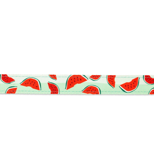 Поводок Short Leash - Watermelon S