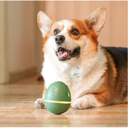 Cheerble Wicked Green Egg - Інтерактивне іграшкове яйце для собак, зелене