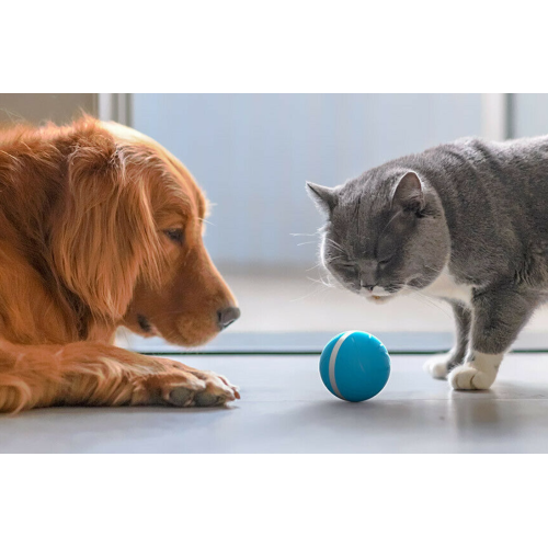 Cheerble Wicked Green Ball - Интерактивный мяч для собак и кошек, зеленый