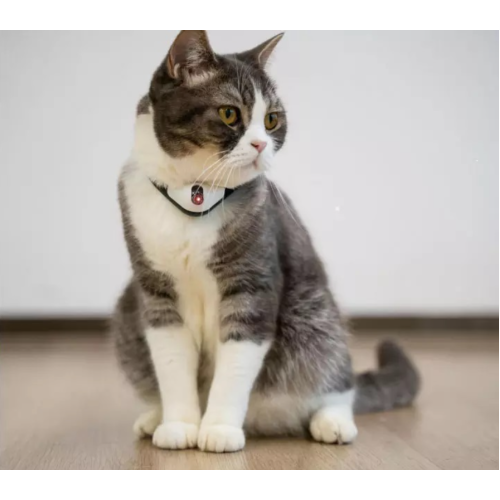 Cheerble KiTiDOT Black Collar - Ошейник для котов с лазерной игрушкой, 1 шт