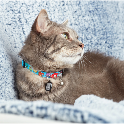 Max & Molly Smart ID Cat Collar Little Monsters/1 size - Нашийник для котів Smart ID монстри