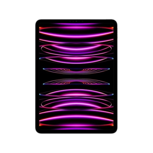 Планшет  Apple iPad Pro 11 2022 Wi-Fi + Cellular 2TB Space Gray (MP5G3, MNYL3)