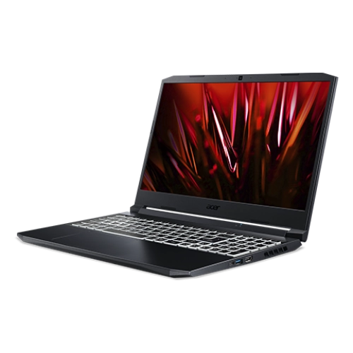 Ноутбук Acer Nitro 5 AN515-45-R666 (NH.QBSET.008)