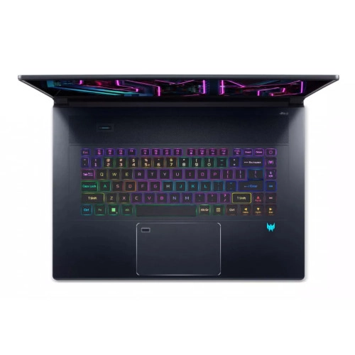 Acer Predator Triton 17 X PTX17-71-99W5 (NH.QK3AA.001)