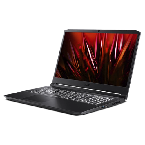 Ноутбук Acer Nitro 5 AN517-41-R8QC (NH.QAQEP.005)
