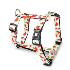 Шлея H-Harness - Watermelon/S