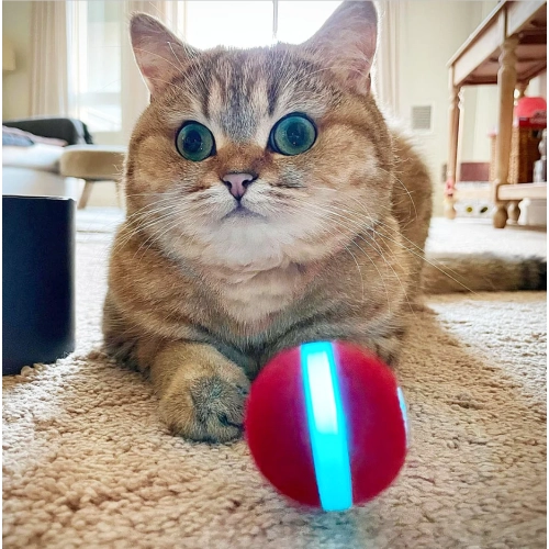 Cheerble Red Ball - Інтерактивний червоний м'яч для котів